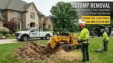 Stump Removal Service Wisconsin
